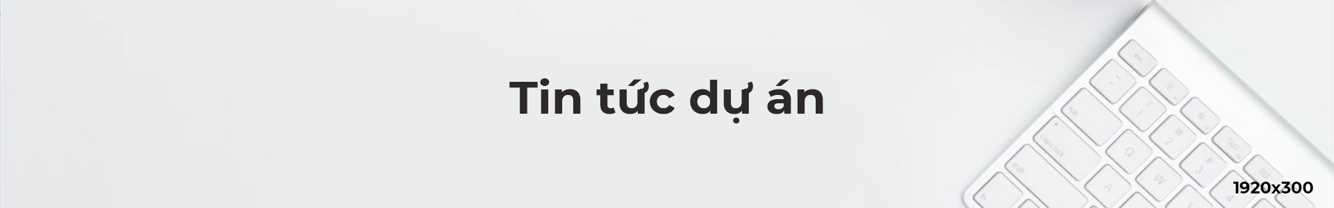 Tin tức dự án