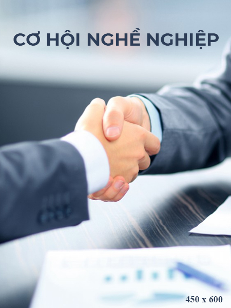 Hoạt động công ty